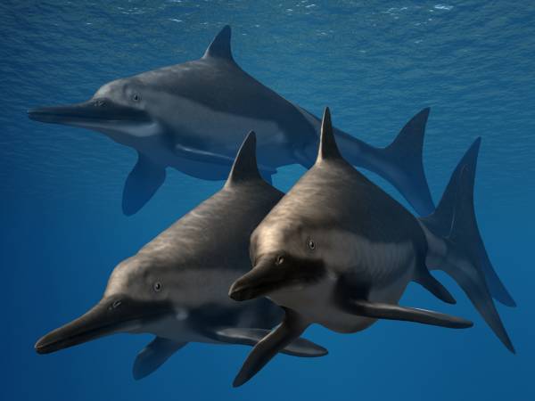 Ichthyosaurs