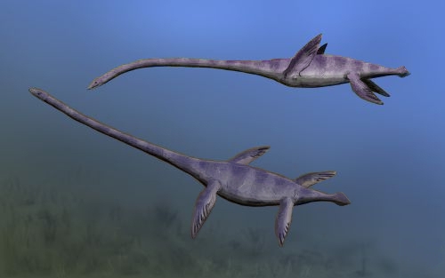 Plesiosaurs
