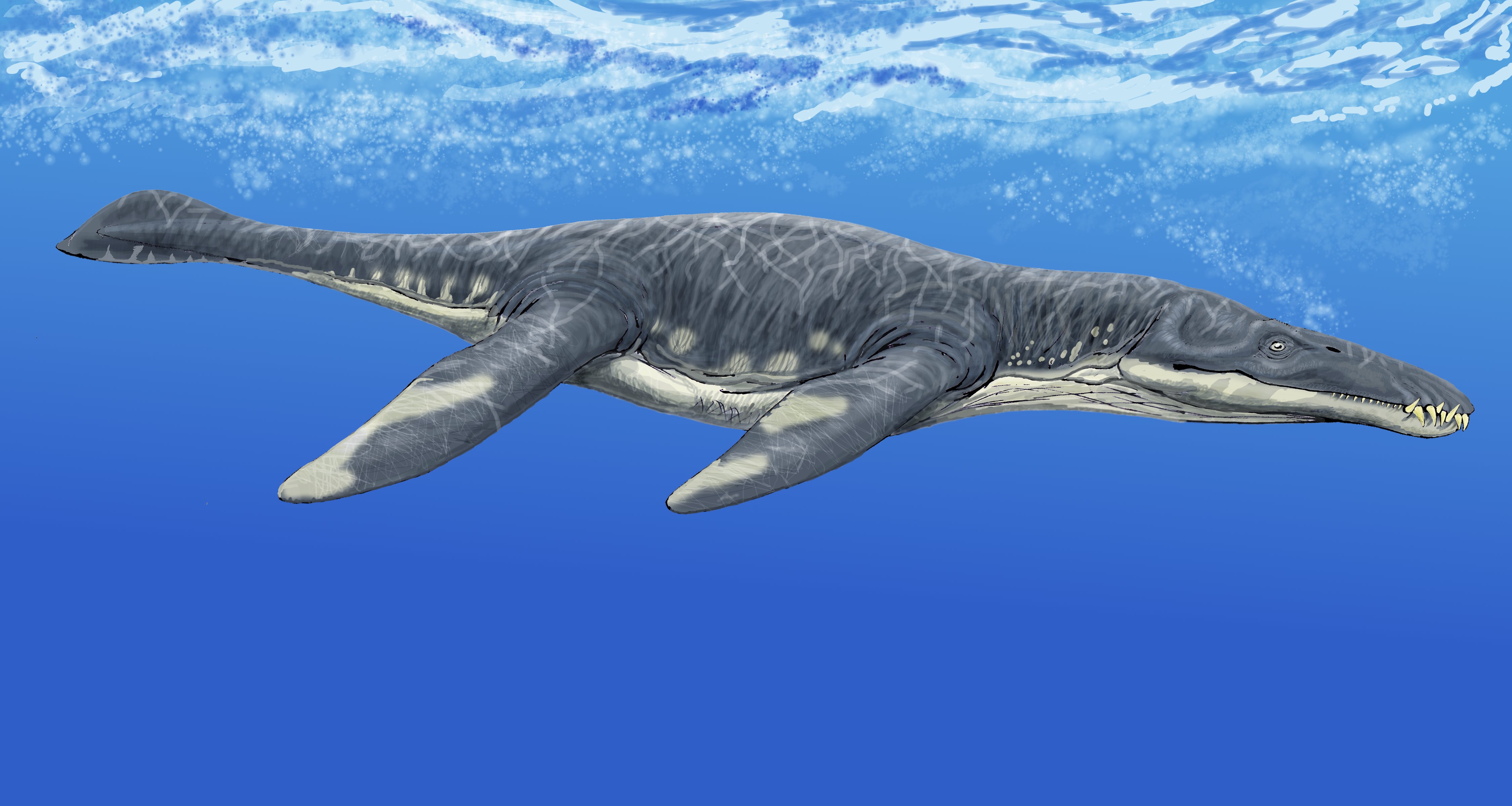 Pliosaurs