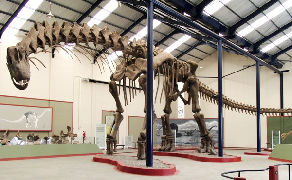 Esqueleto de Argentinosaurus