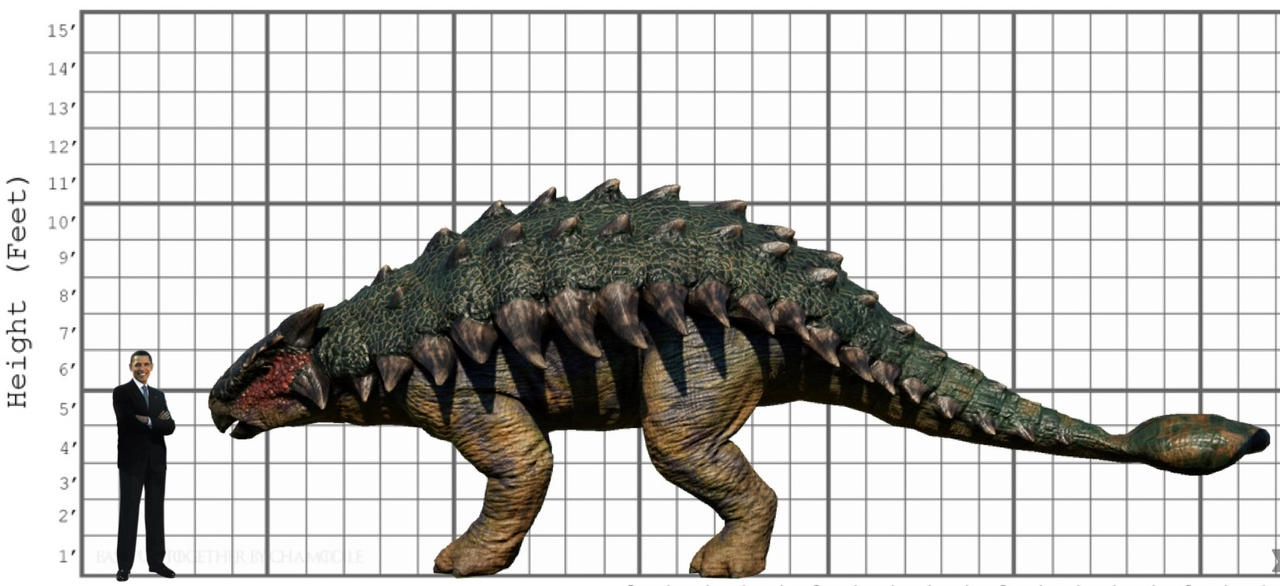 Comparação de tamanho entre Ankylosaurus magniventris e um ser humano adulto.