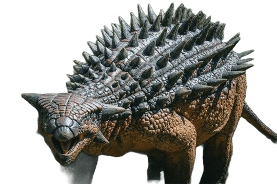 Ankylosaurus magniventris