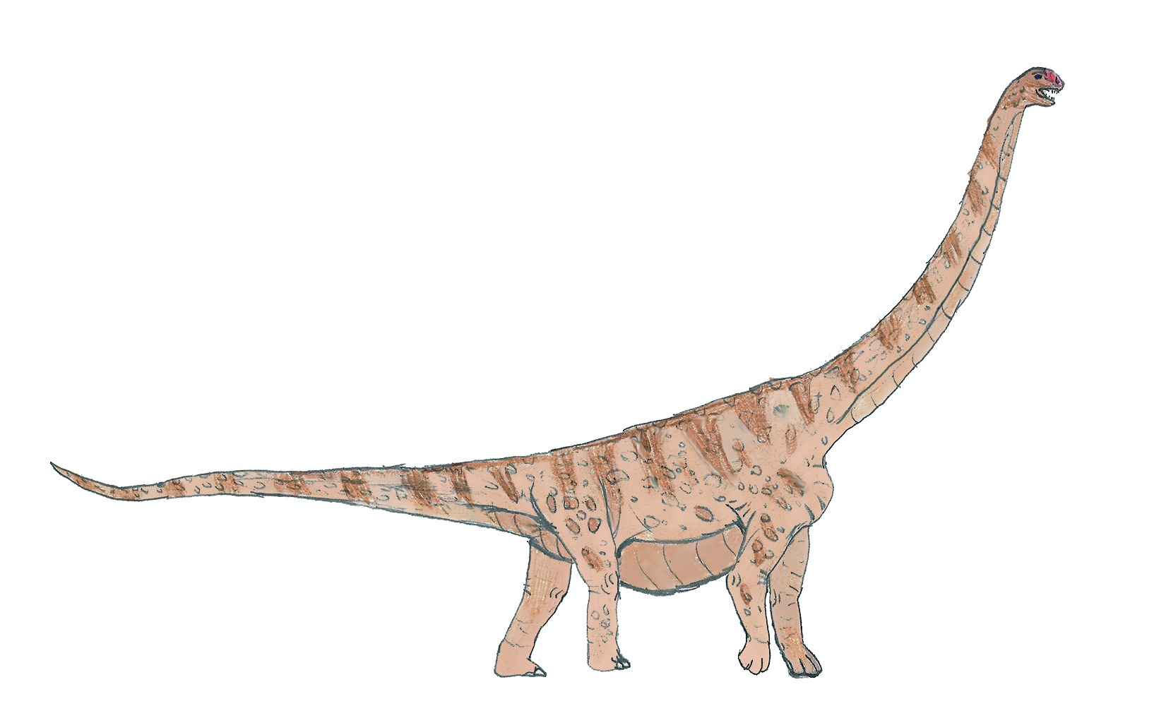 Argentinosaurus huinculensis