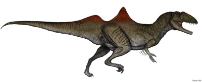 Concavenator corcovatus