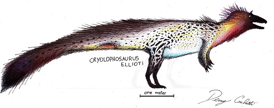Cryolophosaurus ellioti
