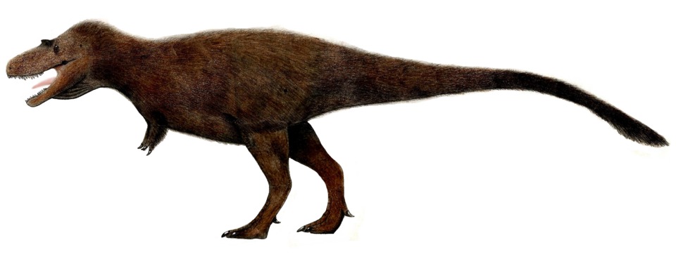 Gorgosaurus libratus