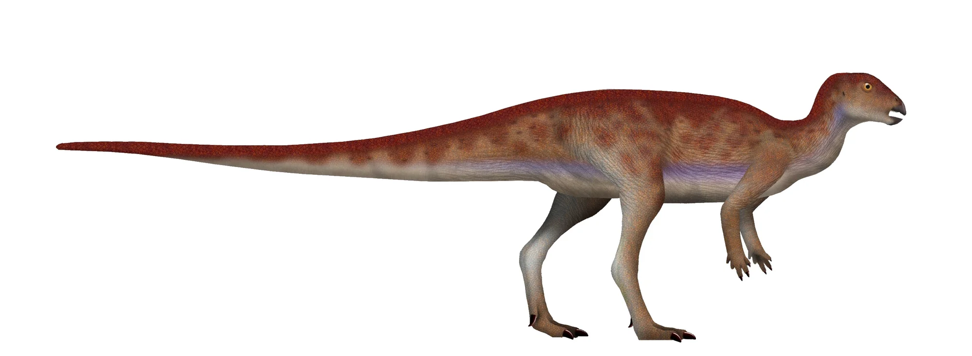 Hypsilophodon foxii