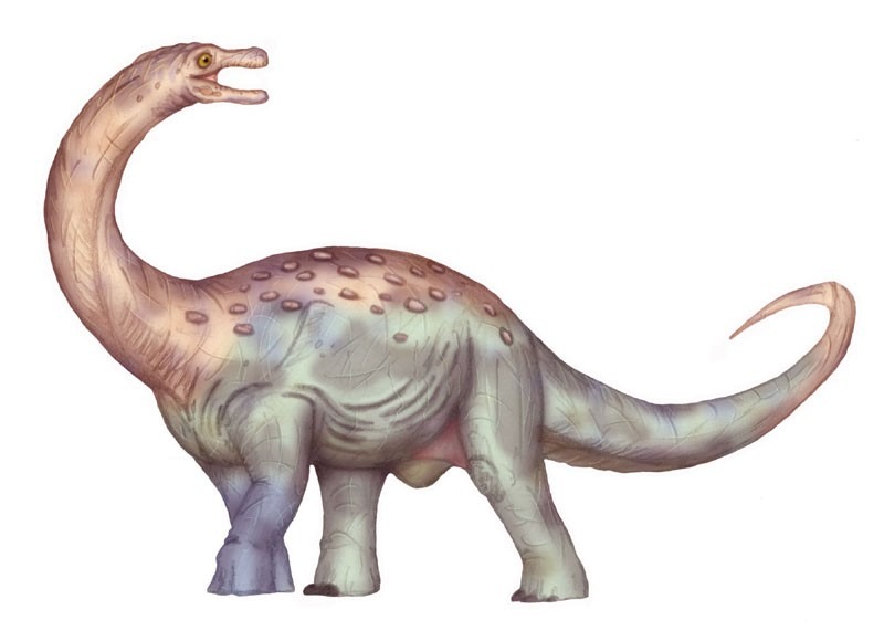 Maxakalisaurus topai