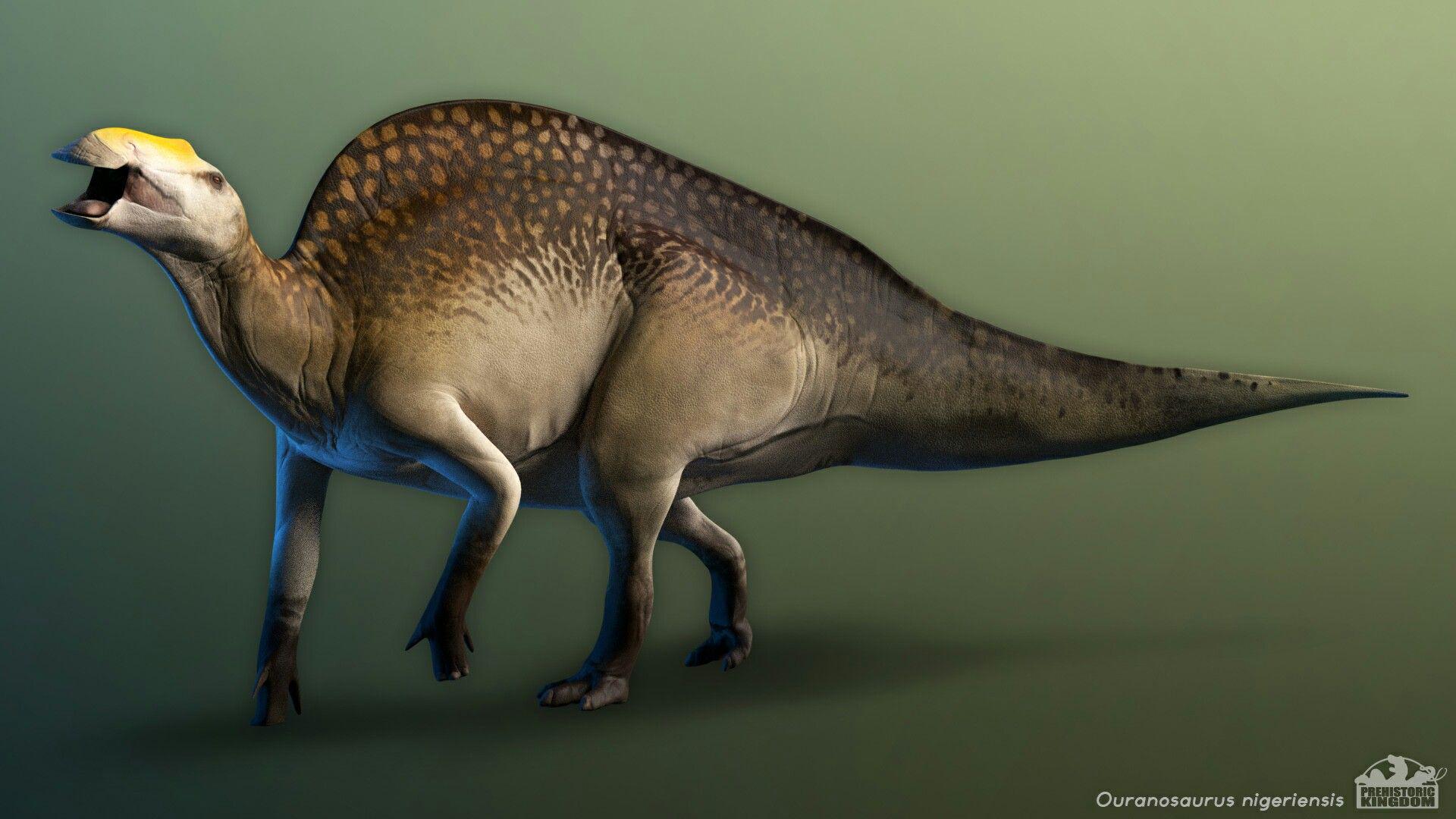 Modelo 3D de Ouranosaurus nigeriensis do jogo Prehistoric Kingdom, mostrando a anatomia detalhada com a vela dorsal, bico e postura bípede.