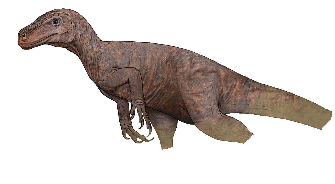 Staurikosaurus pricei
