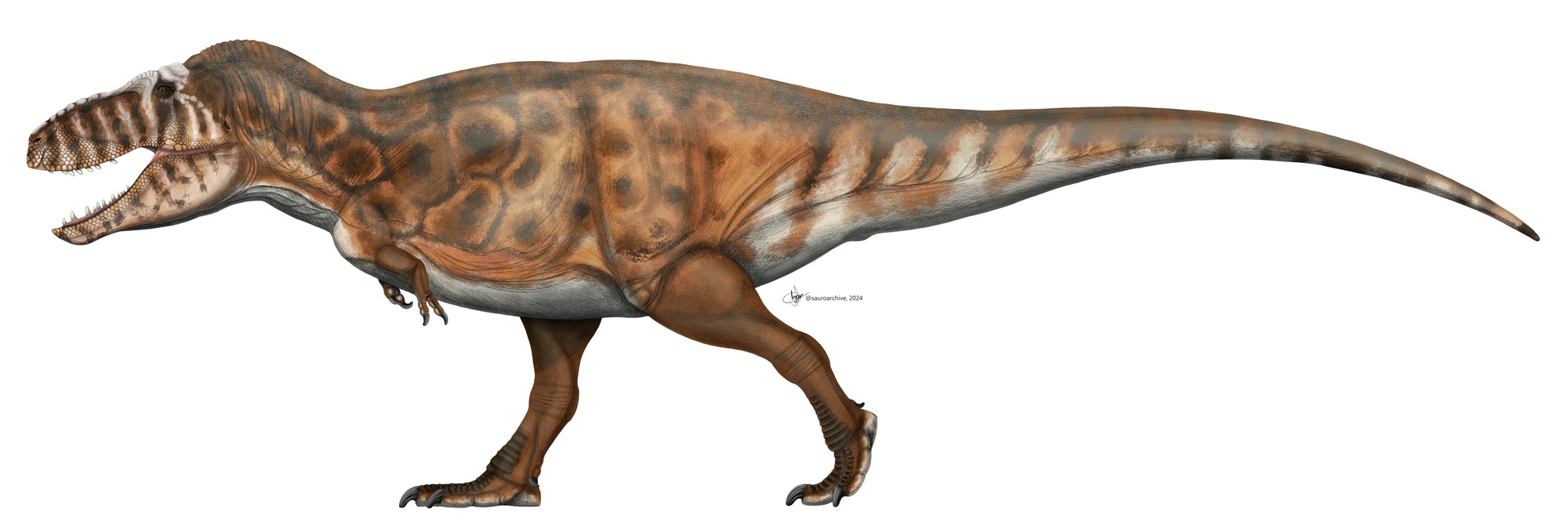 Tarbosaurus bataar